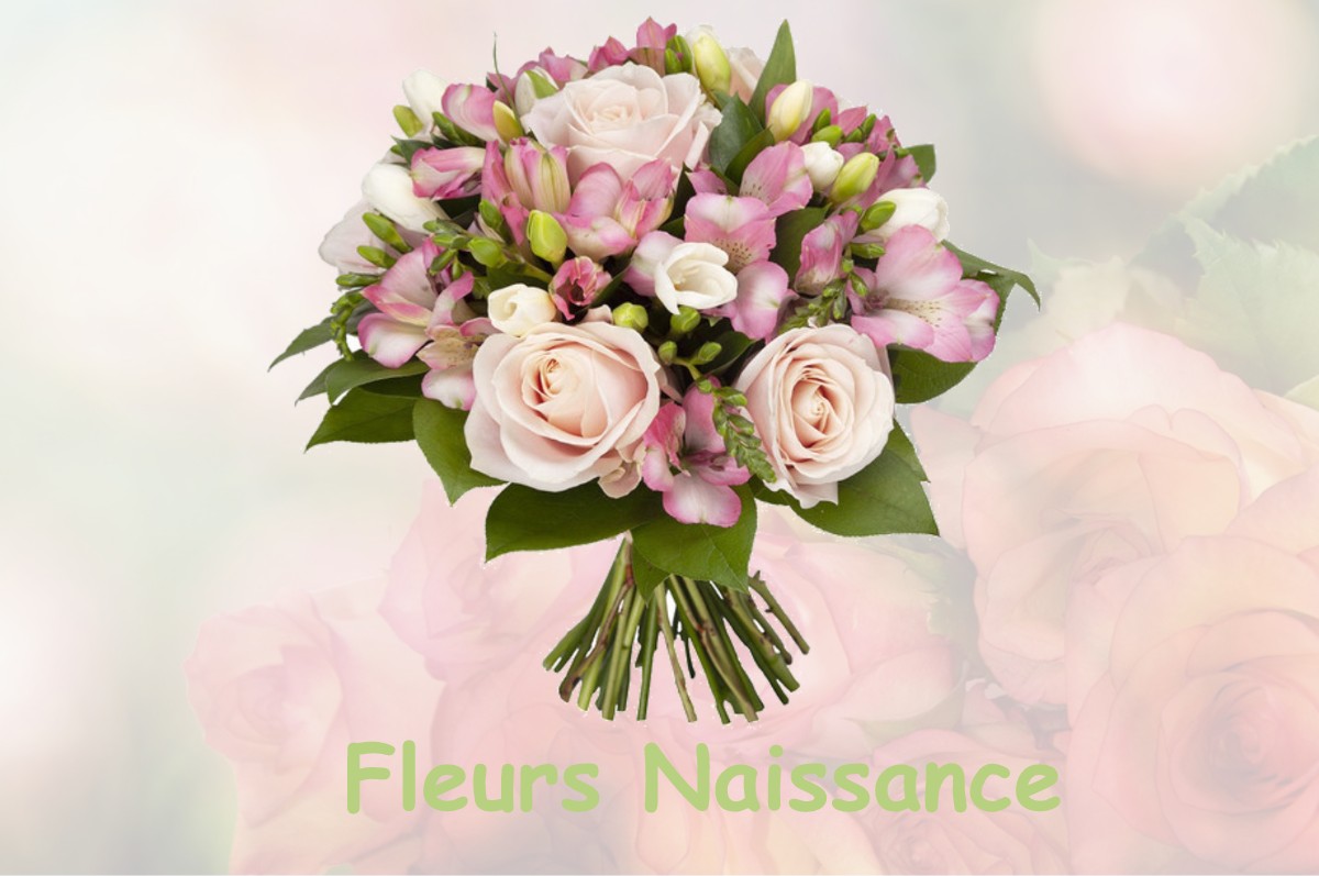 fleurs naissance VILLATE