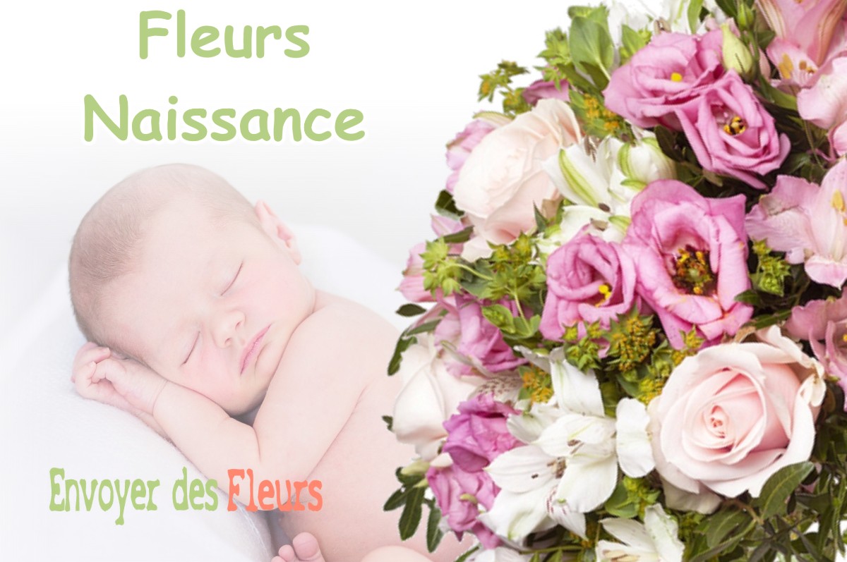 lIVRAISON FLEURS NAISSANCE à VILLATE